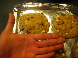 Forum Image: http://thumbnails70.imagebam.com/19505/32eaad195041339.jpg